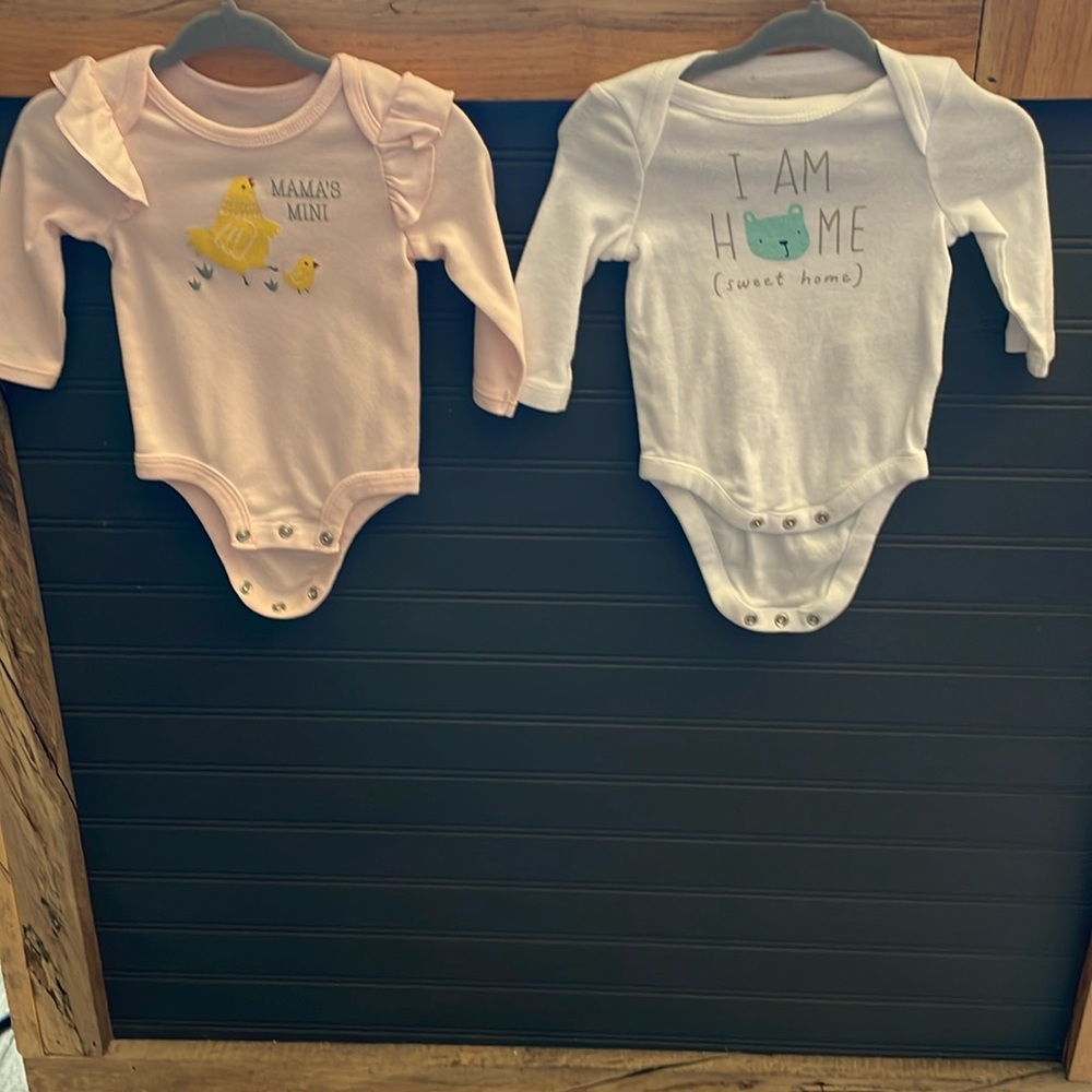 2 Long Sleeve Onesies
Lullaby, 0-3mo, “Mamas Mini”
Baby Gap, 0-3mo, “I Am Home”
